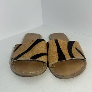 Coconuts by Matisse Cabana Slide size 6